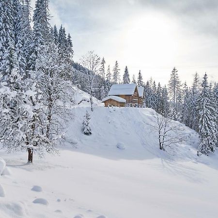 Chalets Almidylle Sankt Martin am Tennengebirge Buitenkant foto